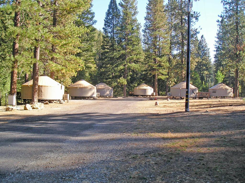 Yosemite Lakes Meadow Yurt 15 Harden Flat Exterior foto